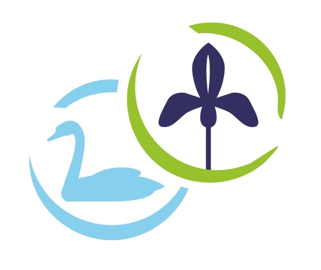 logo site